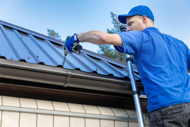 Best Skylight Installation and Repair  in Moroni, UT