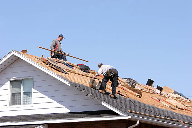 Best Cold Roofs  in Moroni, UT
