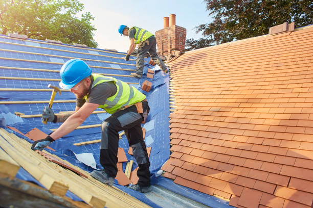 Best Roof Ventilation Installation  in Moroni, UT